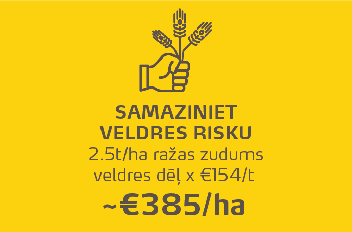 LV Infographic translation-06.png