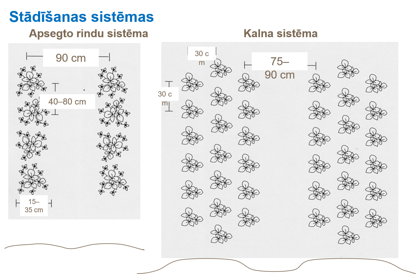 Stādī&scaron;anas sistēmas.png
