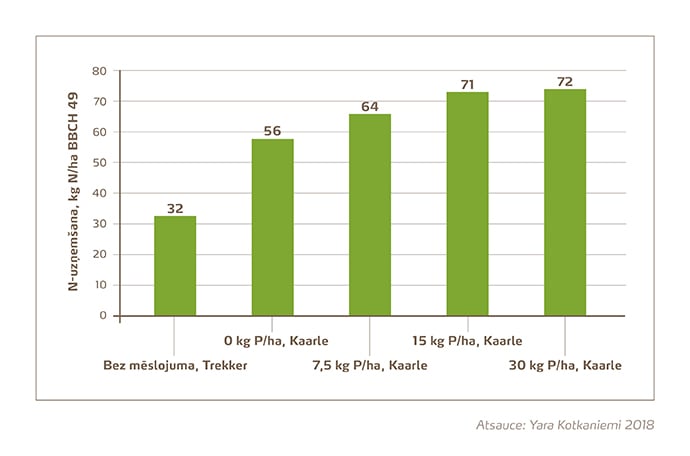 Slāpekļa uzņemšana