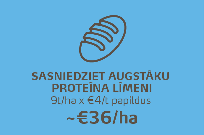 LV Infographic translation-03.png