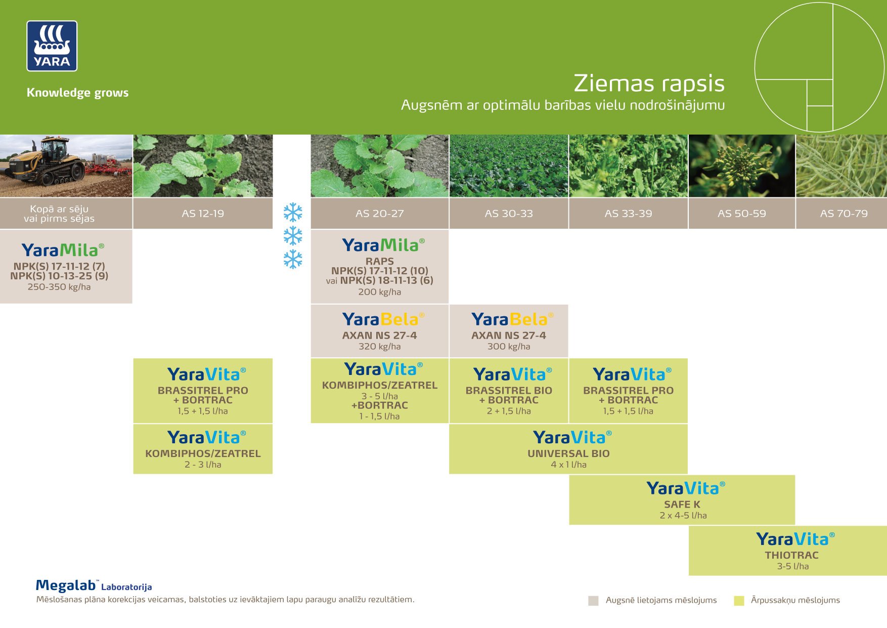 ziemas rapsis optimals