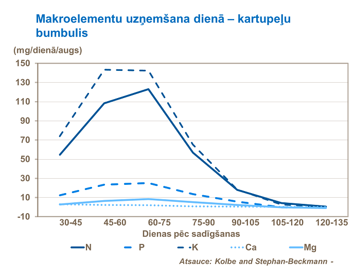 Makroelementu uzņemšana dienā- viss bumbulis